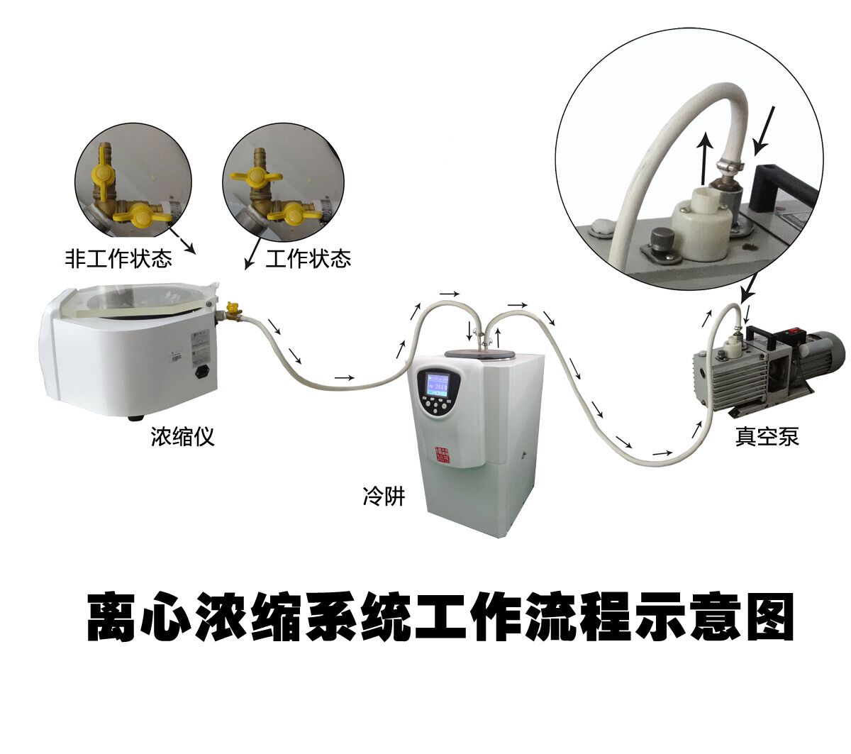 vacuum centrifugal concentrator