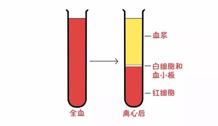 血液分离之后